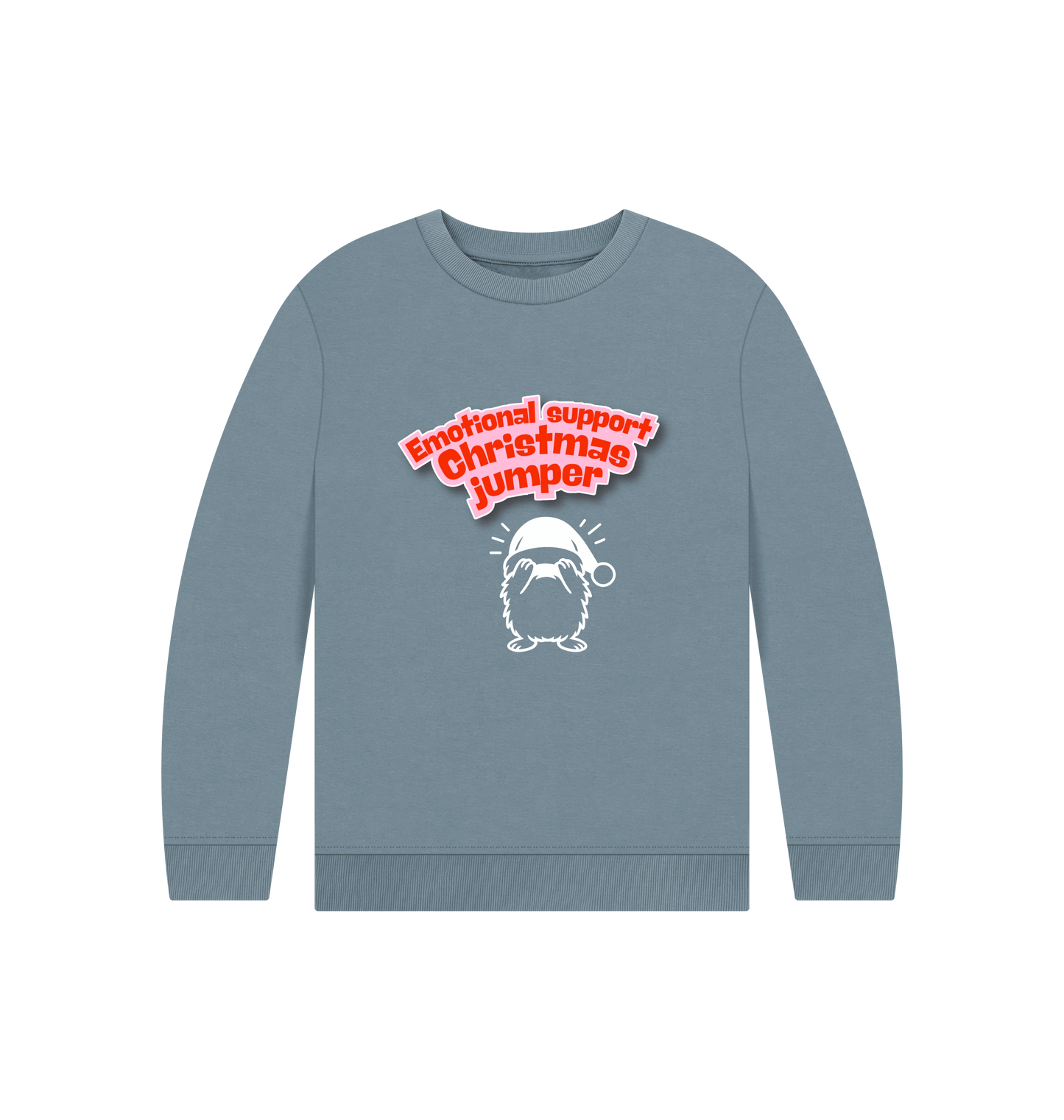 Stone Blue Printed Kids Jumper Front